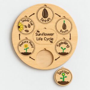 Sunflower Life Cycle Wooden Puzzle
